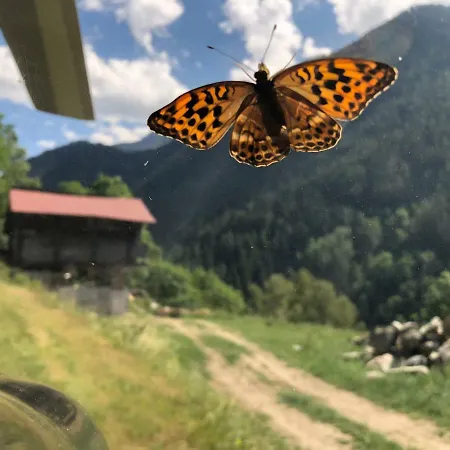 Le Verger Dağ evi *